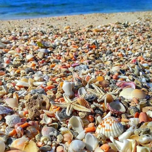 مجید عظیمی کی میای اون روزی که تموم بشه درد و غمم هنوزم تو کوچه ها آواره